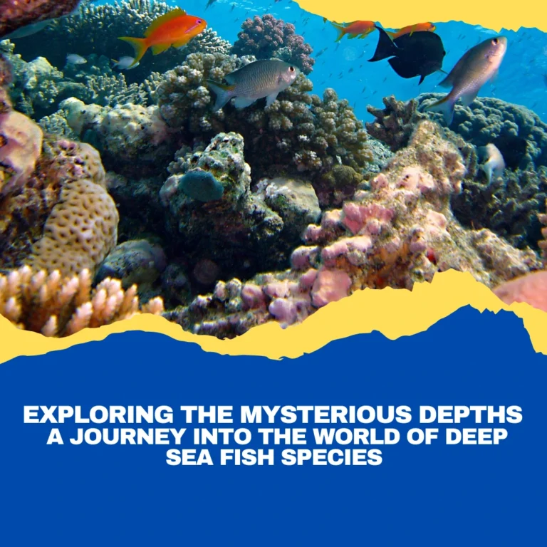 Exploring the Mysterious Depths: World of Deep Sea Fish Species