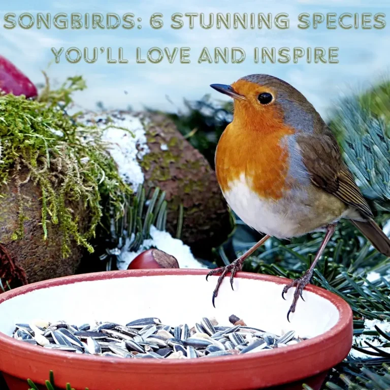 Songbirds Unplugged: Nature’s Original Musicians