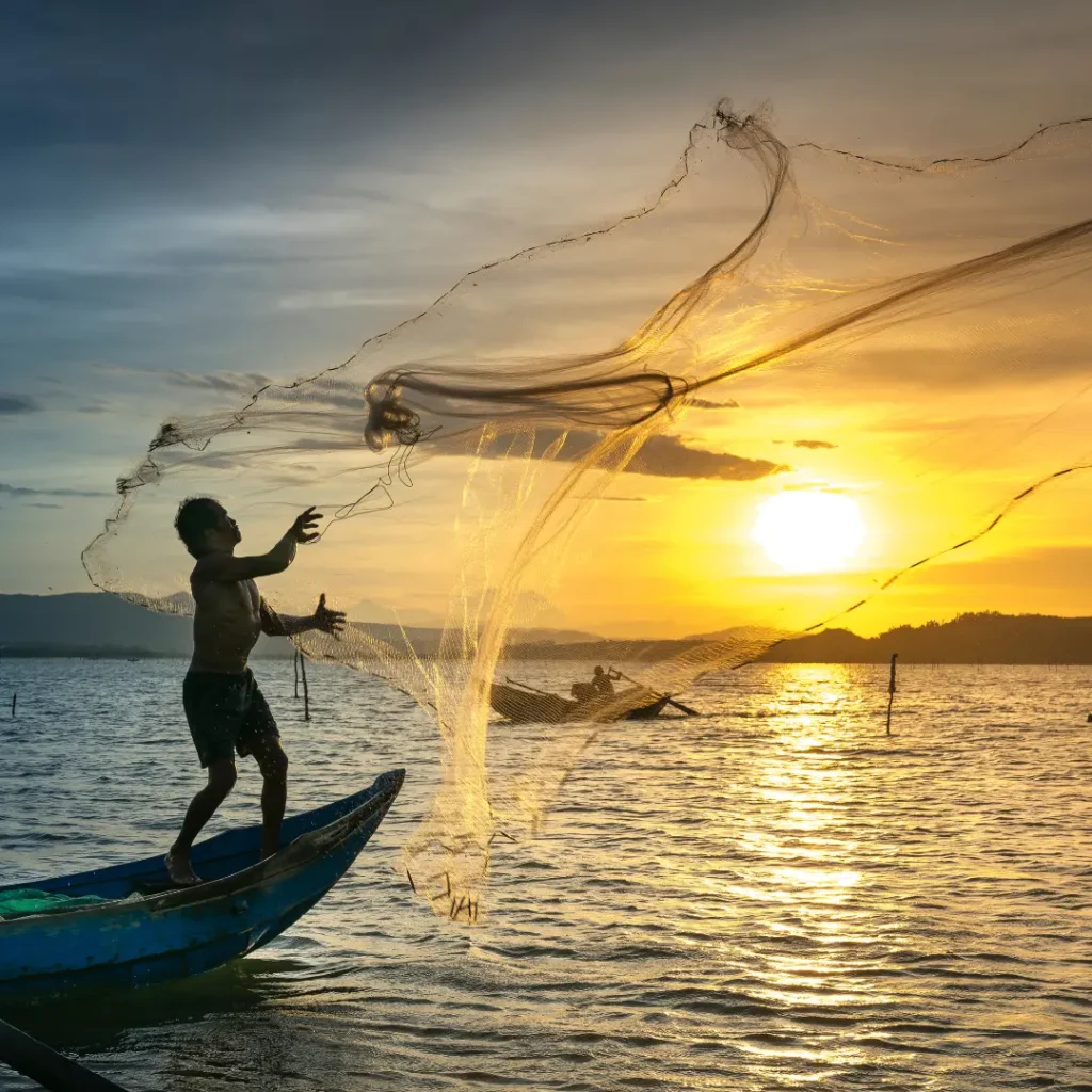 over fishing