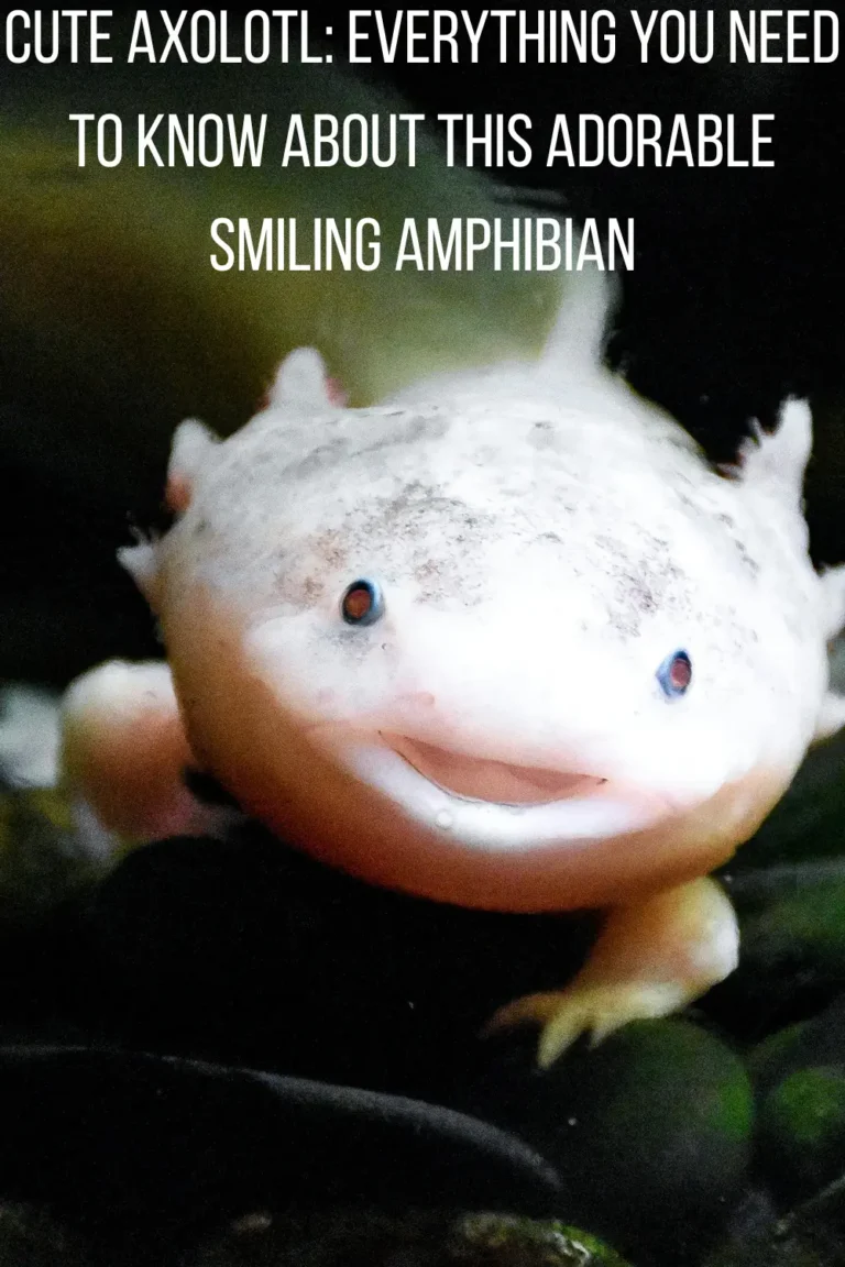 Cute Axolotl: Why Everyone Falls in Love with This Smiling Little Amphibian